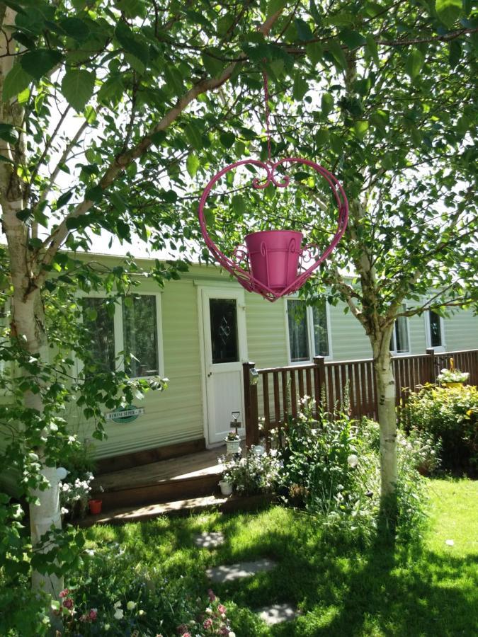 Hills View Accommadation Borrisoleigh ภายนอก รูปภาพ